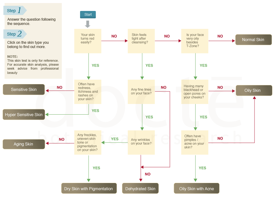 Skin Analysis Chart