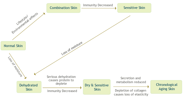 Skin Changes